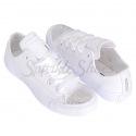 Converse Chuck Taylor All Star 136823 white