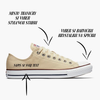 Converse Chuck Taylor All Star M9165  beige