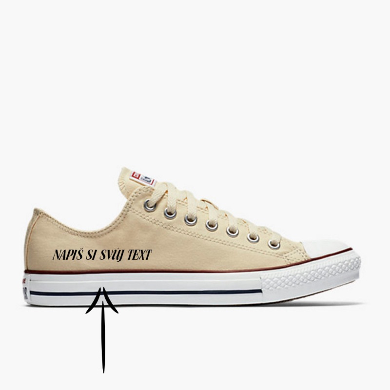 Converse Converse Chuck Taylor All Star M9165 beige